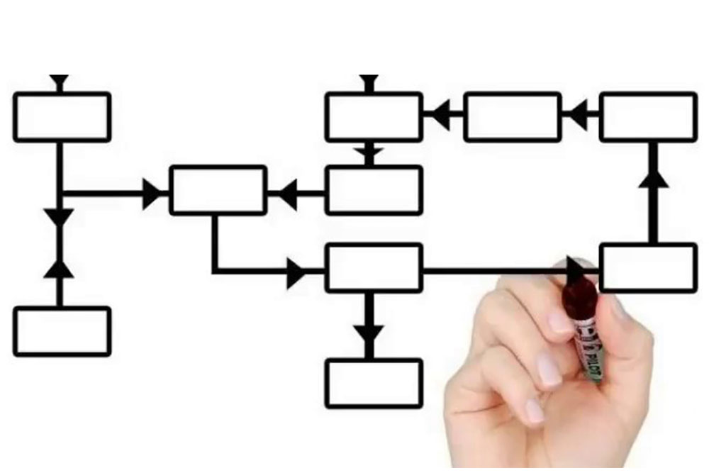 organigramma